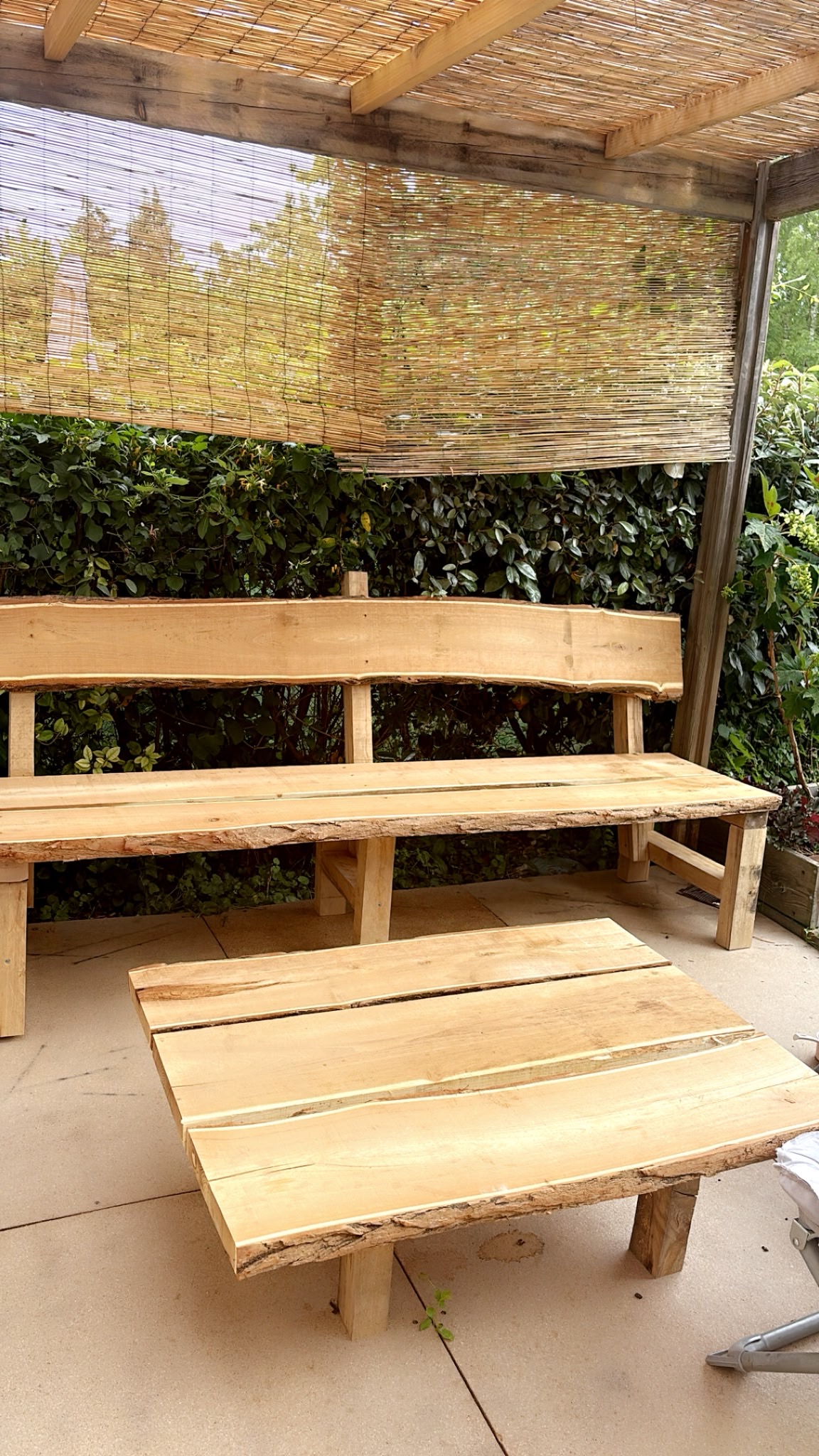 Salon de jardin bois brut